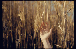 Phillip Wurzbach