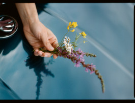 Phillip Wurzbach